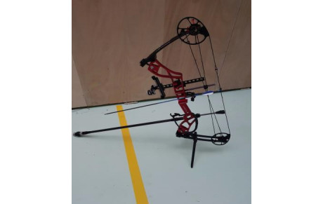 Arc à poulies