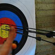 Séances de tir libre pour archers confirmés